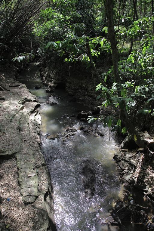 Rumah Senjakala Bantul Ngoại thất bức ảnh